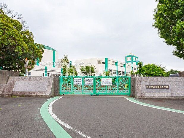 川口市立木曽呂小学校 撮影日(2022-06-23) 1100m