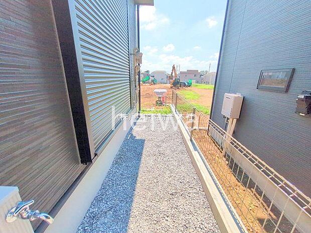 撮影日(2025-07-25 00:00:00)