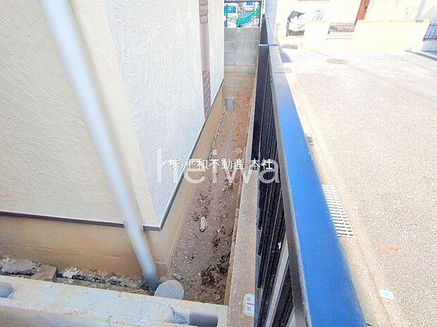 撮影日(2025-11-20 00:00:00)