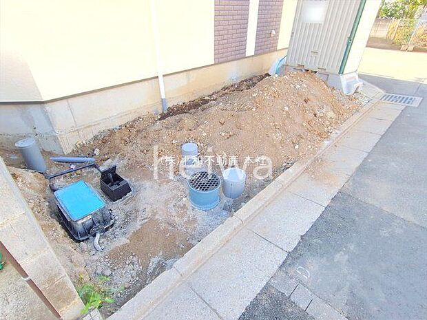 撮影日(2025-11-20 00:00:00)