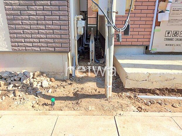 撮影日(2025-11-20 00:00:00)