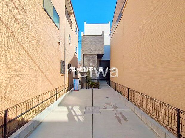 撮影日(2025-11-17 00:00:00)