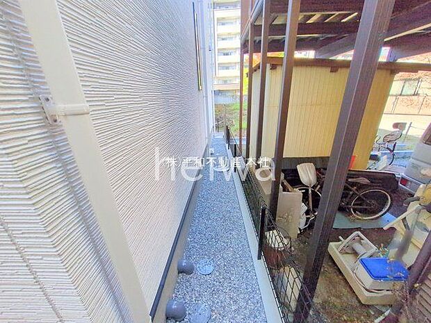 撮影日(2025-11-17 00:00:00)