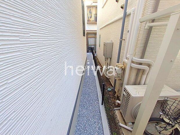 撮影日(2025-11-17 00:00:00)