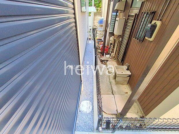 撮影日(2025-11-17 00:00:00)