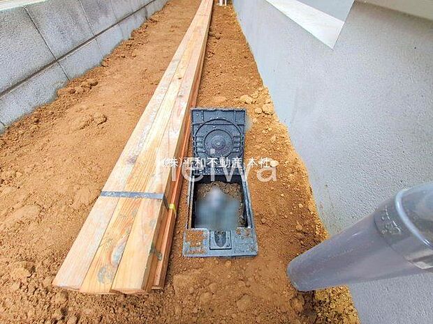 撮影日(2025-10-15 00:00:00)