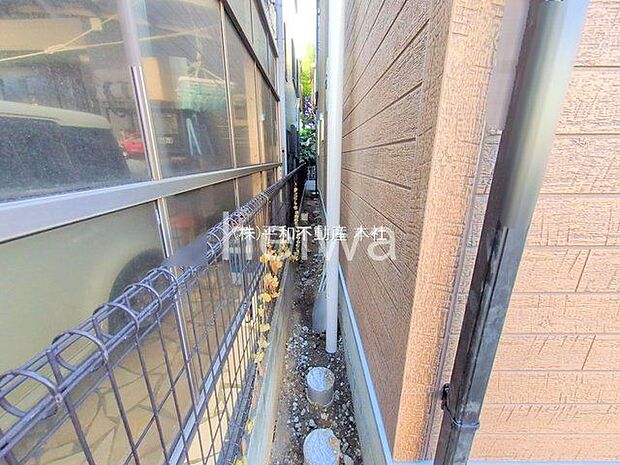 撮影日(2025-11-28 00:00:00)