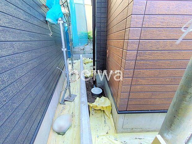 撮影日(2025-11-26 00:00:00)