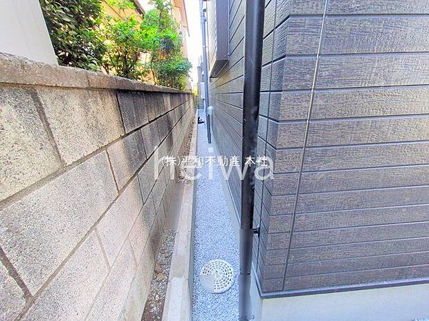 撮影日(2025-11-26 00:00:00)