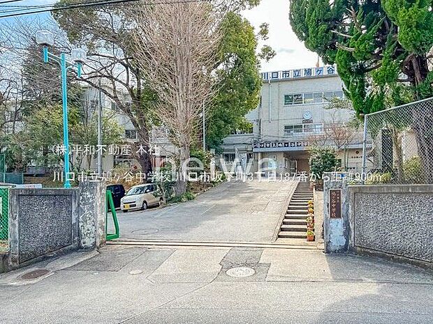 川口市立鳩ヶ谷中学校 撮影日(2022-03-17) 900m