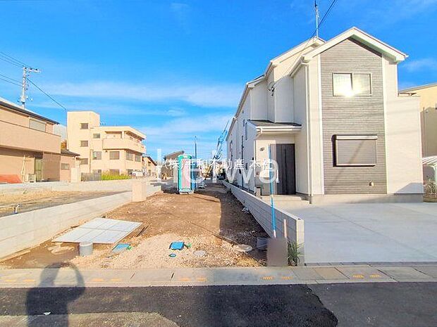 撮影日(2025-11-04 00:00:00)