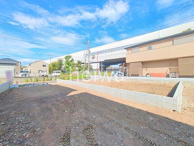 撮影日(2025-09-29 00:00:00)