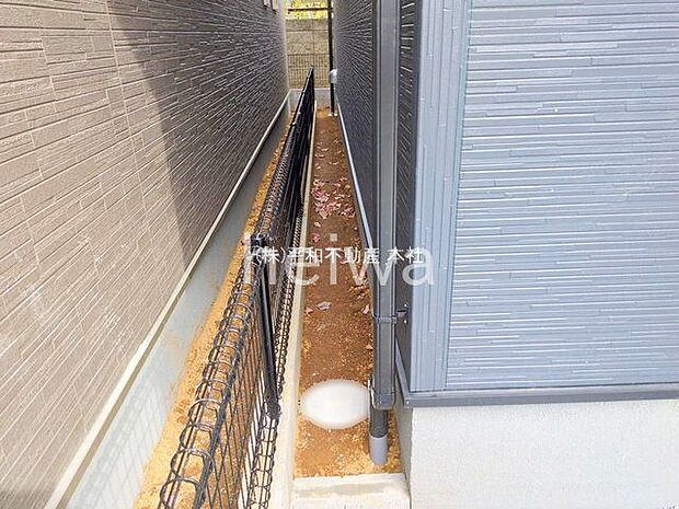 撮影日(2025-11-05 00:00:00)