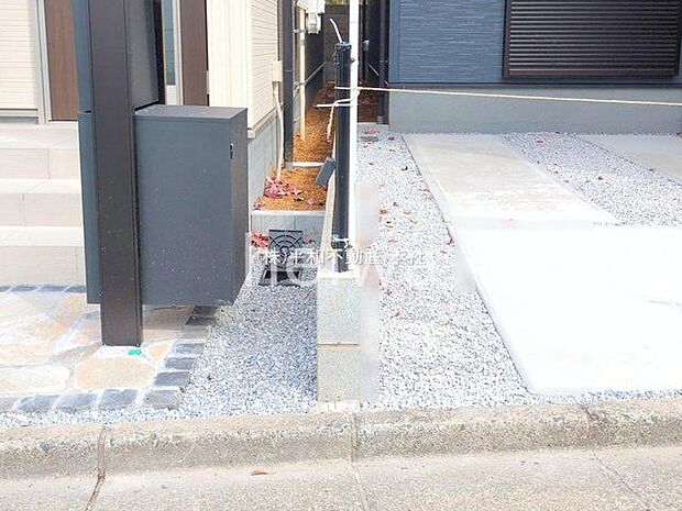 撮影日(2025-11-05 00:00:00)