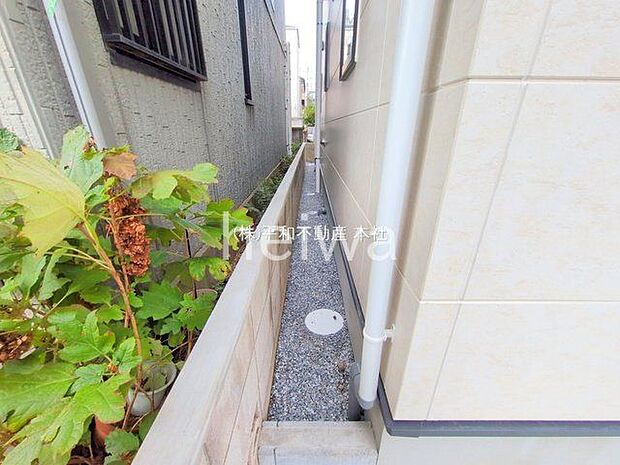 撮影日(2025-10-30 00:00:00)