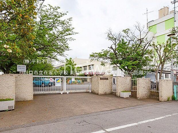 川口市立在家小学校 撮影日(2022-06-23) 290m