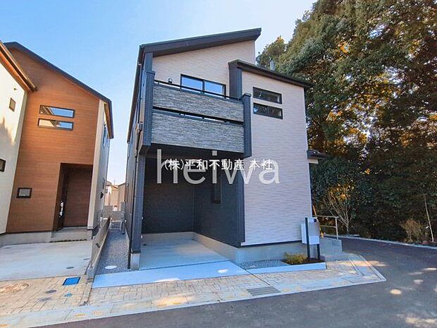 撮影日(2026-03-11)