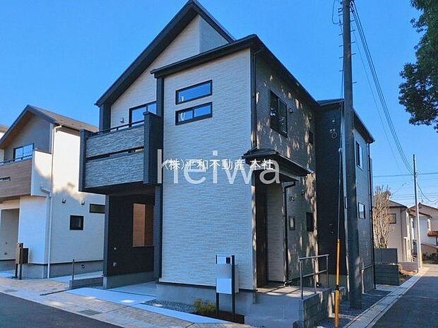 撮影日(2026-03-11 00:00:00)