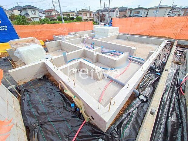 撮影日(2025-11-05 00:00:00)