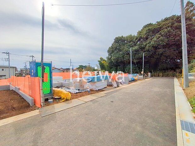 撮影日(2025-11-05 00:00:00)