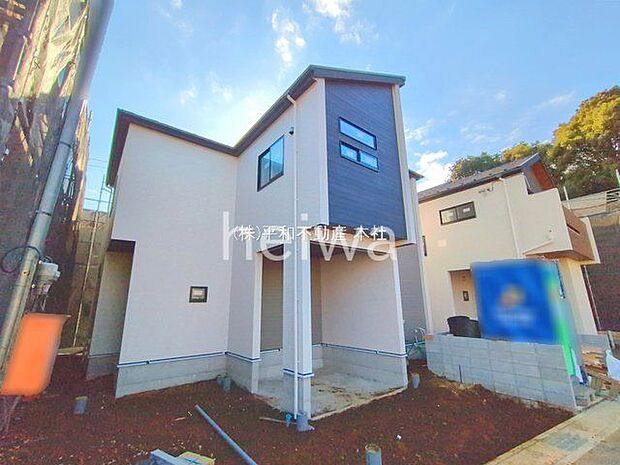 撮影日(2025-12-19 00:00:00)