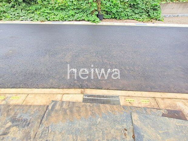 撮影日(2025-10-20 00:00:00)