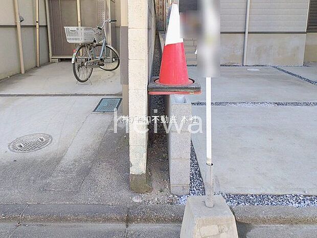 撮影日(2026-01-29 00:00:00)