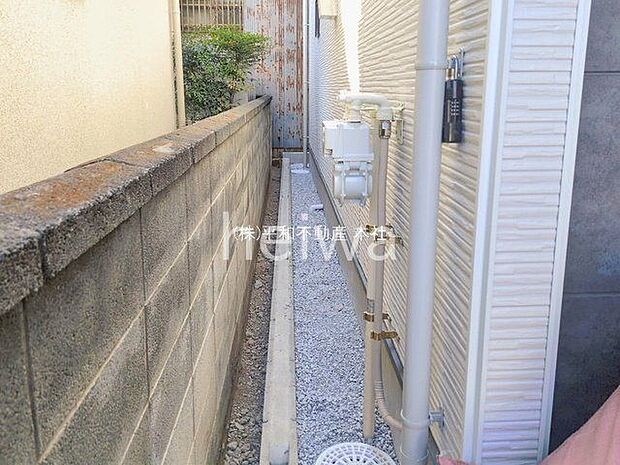 撮影日(2026-01-29 00:00:00)