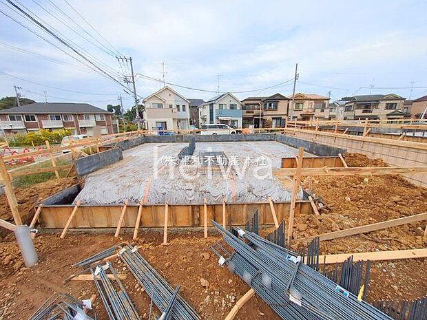 撮影日(2025-10-24 00:00:00)