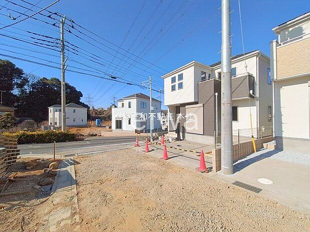 撮影日(2026-01-30 00:00:00)