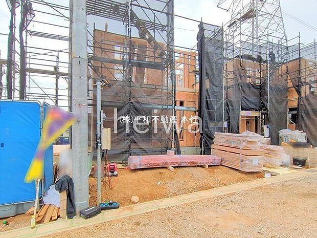 撮影日(2025-11-18)