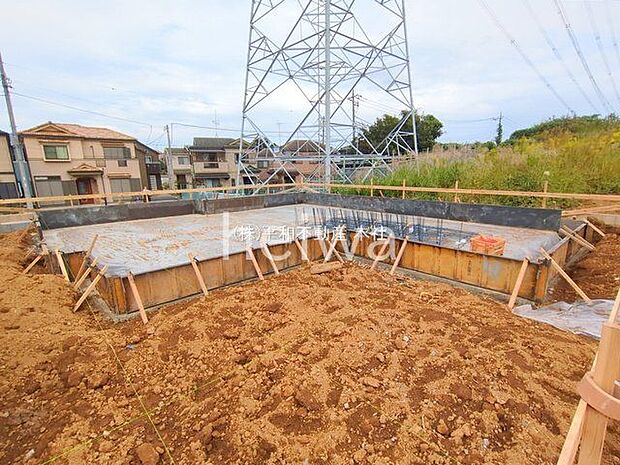 撮影日(2025-10-24 00:00:00)