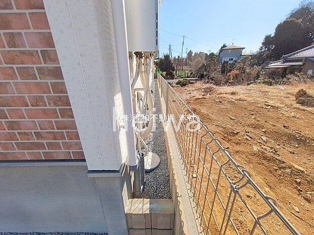 撮影日(2026-02-03 00:00:00)