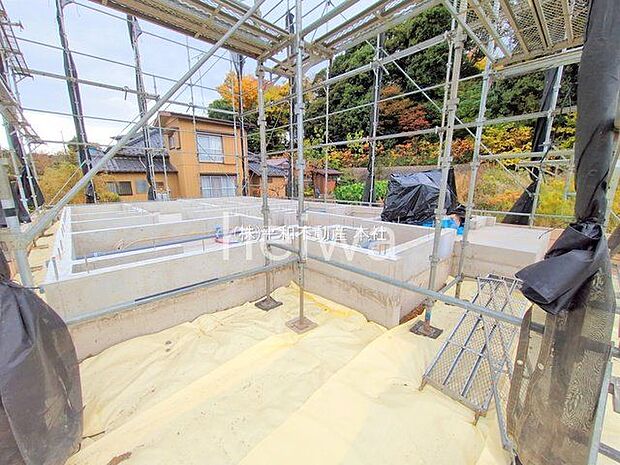 撮影日(2025-11-18)