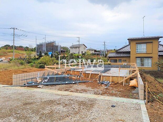 撮影日(2025-10-24 00:00:00)