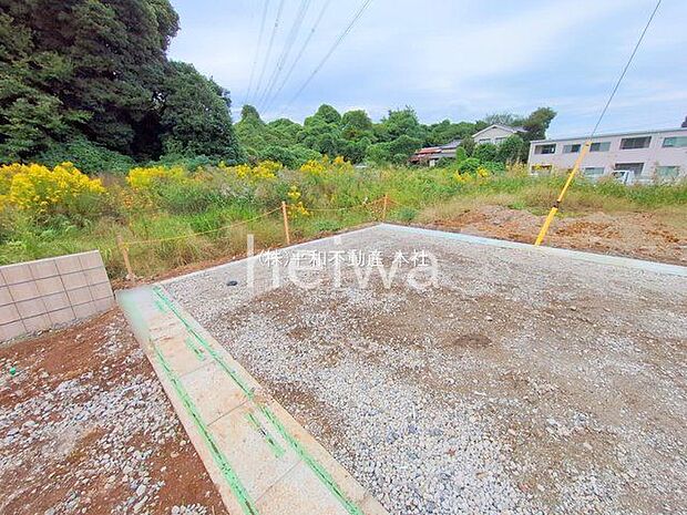 撮影日(2025-10-24 00:00:00)