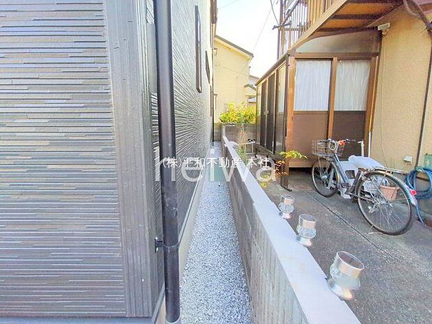 撮影日(2025-11-14 00:00:00)