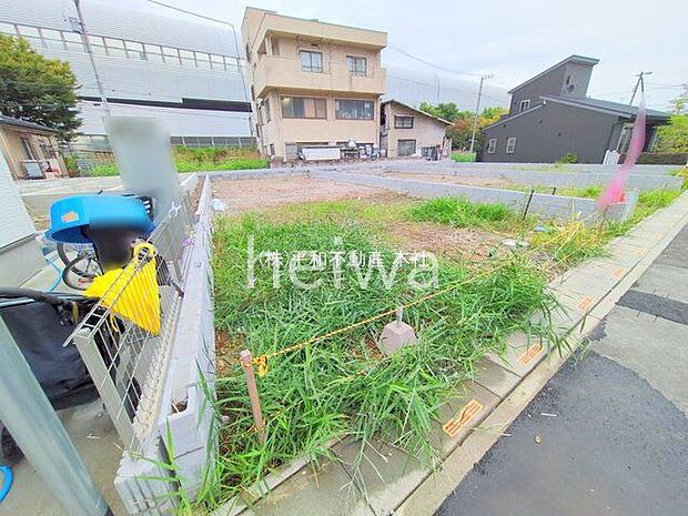 撮影日(2025-10-31 00:00:00)