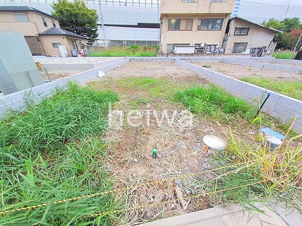 撮影日(2025-10-31 00:00:00)