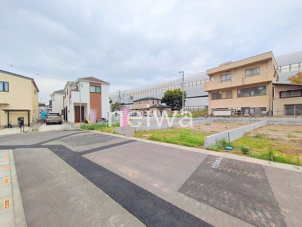 撮影日(2025-10-31 00:00:00)