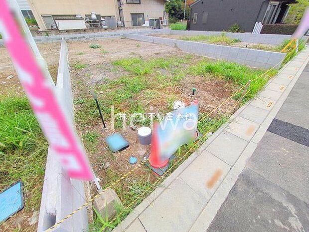 撮影日(2025-10-31 00:00:00)