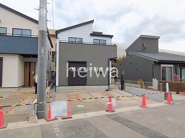 撮影日(2026-02-20 00:00:00)