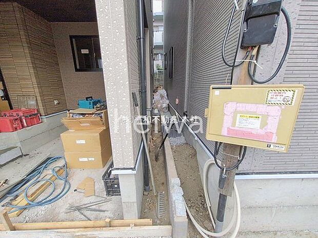 撮影日(2026-01-28 00:00:00)