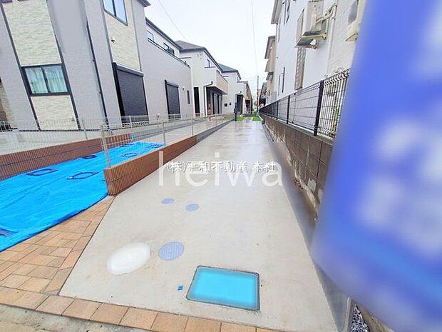 撮影日(2025-06-11 00:00:00)