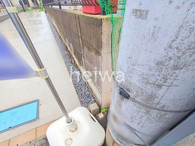 撮影日(2025-06-11 00:00:00)