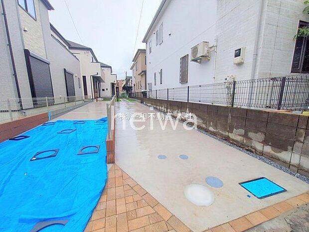 撮影日(2025-06-11 00:00:00)