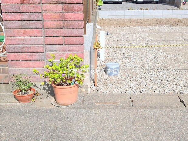 撮影日(2025-10-03 00:00:00)