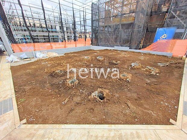 撮影日(2025-11-11 00:00:00)