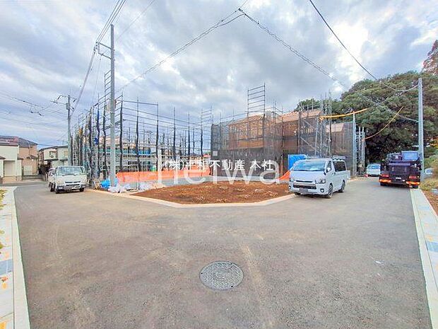 撮影日(2025-11-11)