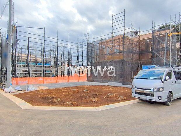 撮影日(2025-11-11 00:00:00)